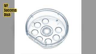 Tüp Bebek Başarısı için Hızlandırılmış Yemek