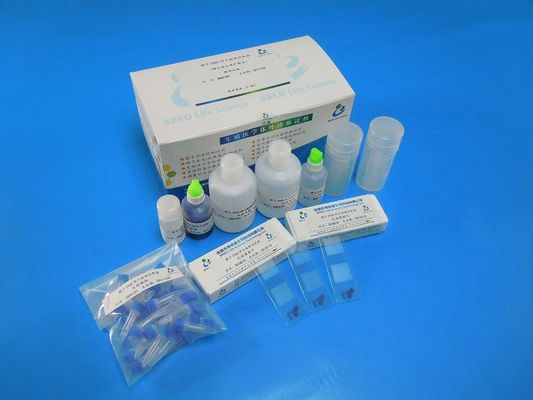 Wright Boyama Sperma DNA Parçalanma Test Kiti, Androloji Laboratuvarları İçin SCD Yöntemi ile 40 Test/Kit