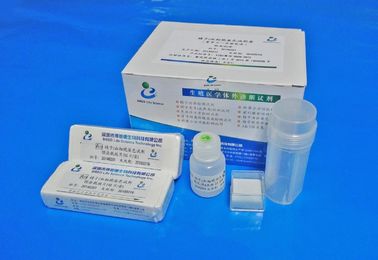 40T/Kit Pre Stained Slides One Step Violet Staining For Sperm / Blood Cell Morphology