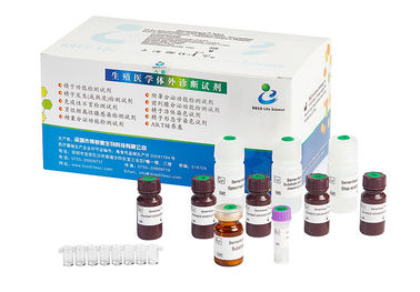 Rapid Test Male Fertility Test Kit For Evaluating Male Epididymis Secretory Function