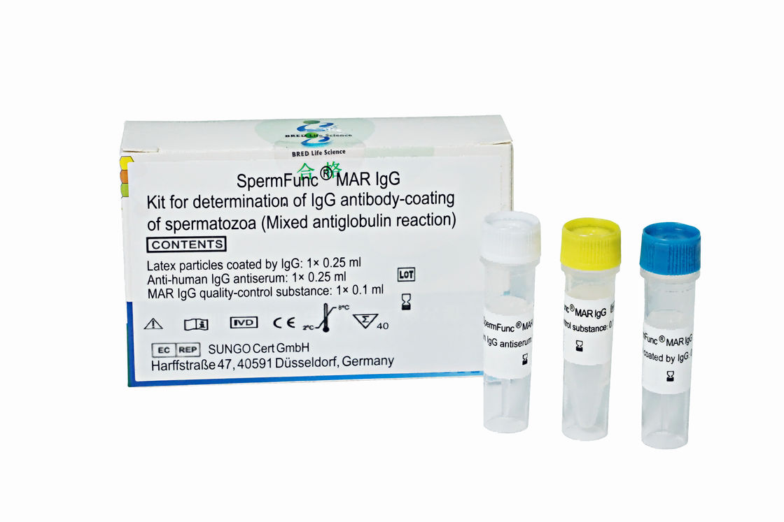 Duyarlı tespit ve daha uzun süreli reaktif depolama için WHO tarafından önerilen MAR yöntemiyle anti-sperm antikor IgG tespit kiti